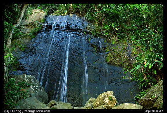  La Coca Falls El Yunque... Autors: Rampage Skaisti dabas skati  :)