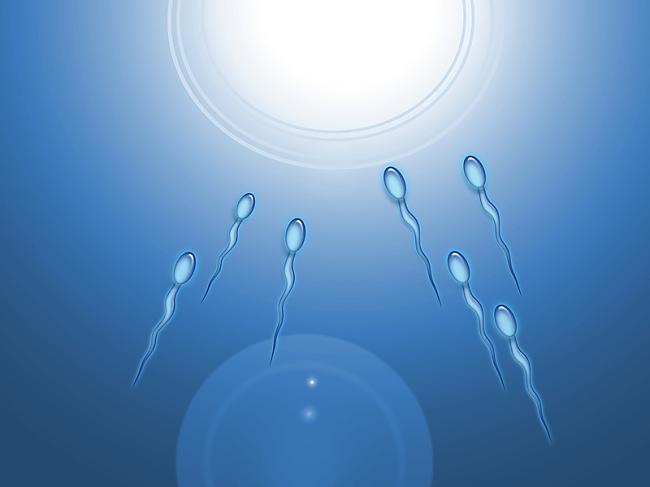 Spermas sastāvā ir tikai 1037... Autors: Moonwalker Fakti par reproduktīvo sistēmu