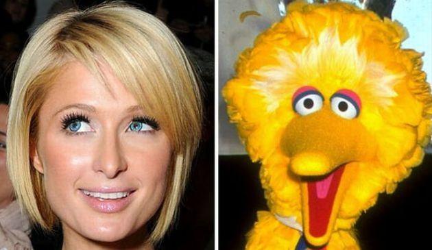 Paris Hilton and Sesame Street... Autors: Heiliii Līdzīgi?