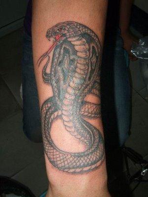 snake tattoo Autors: Justas [Čūskas un Fakti]