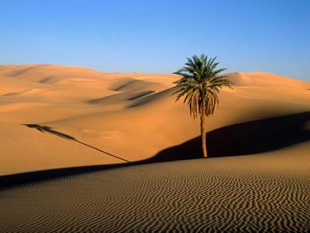 Sahara North Africa Šī... Autors: Grandsire 10 Interesantākie tuksneši...