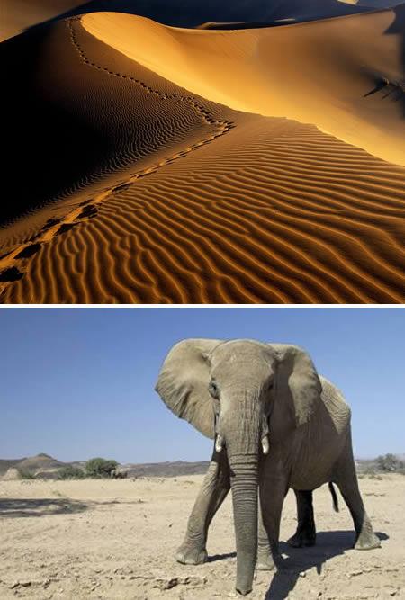 Namib Namibia Ziemeļ Āfrikā... Autors: Grandsire 10 Interesantākie tuksneši...