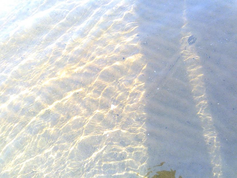  Autors: IvanEZz ūdens gliemja pēdas