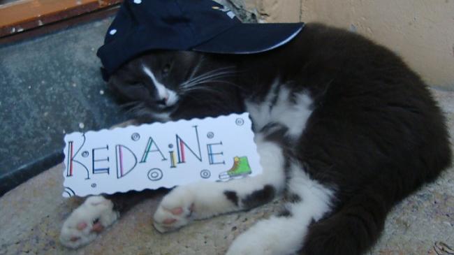  Autors: Kedaine kaķis ar cepuri galvā..