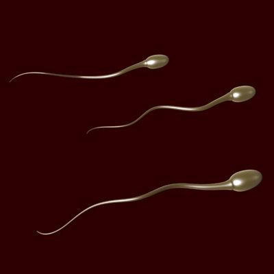 Spermas kvalitāte vidusmēra... Autors: Fosilija 100% SVAIGI FAKTI!!!