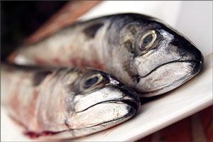 Eļļainās zivis sardīnes... Autors: IAMX mazliet par ēdienu veselīgu bet......
