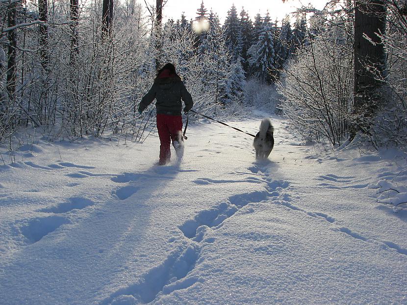 Bet vēlāk ar saimnieci... Autors: alisons Mans Haskijs (Elfa)