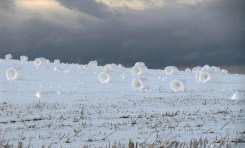 Vēja satīts sniegs rullīšos... Autors: PankyBoy Fakti ar bildēm