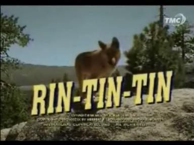 Rin Tin Tins Kaut kas līdzīgs... Autors: Moonwalker Ko es lūrēju bērnībā.