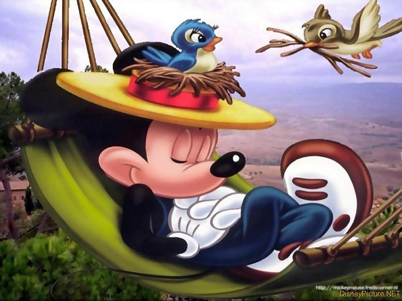 Pirmā krāsainā Mikijpeles... Autors: chesterfields 10 fakti par mikipeli