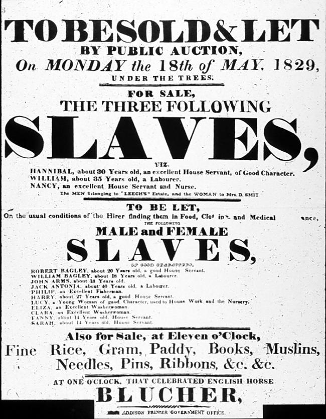 Visvērtīgākie vergi bija... Autors: gaagaa Vergu tirdzniecība.