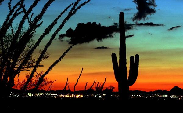  Autors: Sabana Saguaro