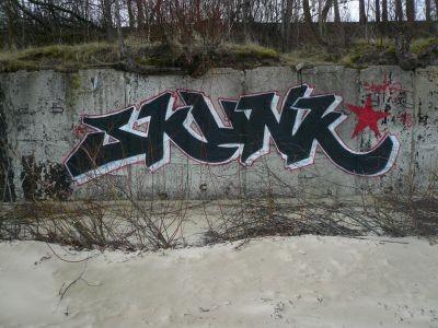 Skunk  Šitas piesaistīja... Autors: Ruudiiz Rīgas Populārākie Graffiti Zīmētāji 2