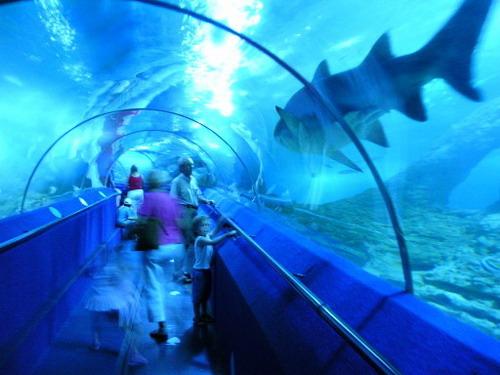 21  Largest Aquarium in... Autors: nauruha Pasaules lielākie akvāriji