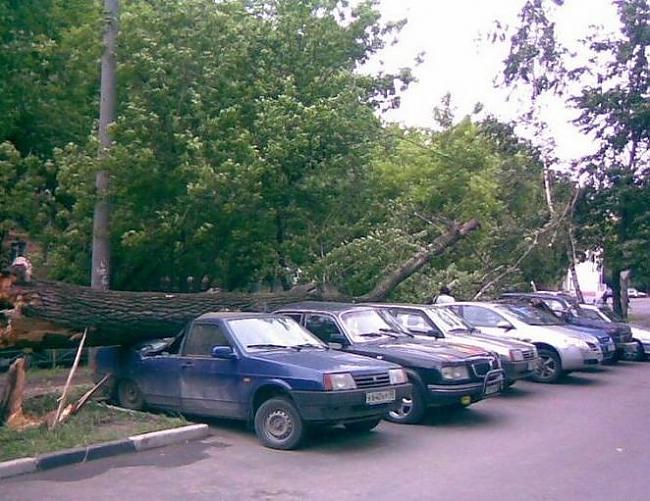  Autors: seglinja Dažādas auto avārijas