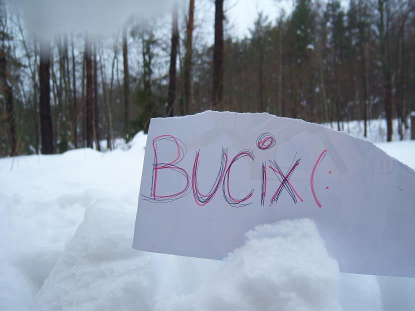  Autors: bucix Sniegs!!