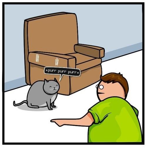  Autors: goidoll Kaķis pret internetu