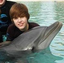  Autors: mazakuce J. Bieber mīl delfīnus