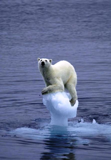 Ledāju kušana sekas  saldūdens... Autors: jankabanka Par to, par ko pat zinātnieki vairs nestrīdas.