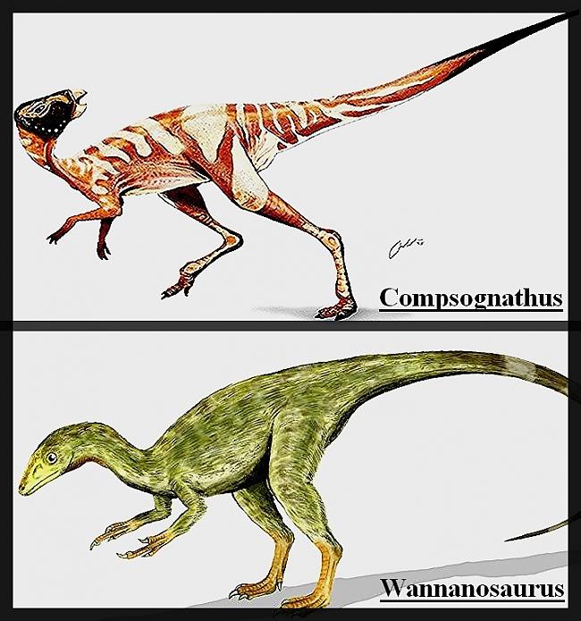 Mazākais dinozaurs Mazākie... Autors: SeReO Izmirušie dzīvnieki.