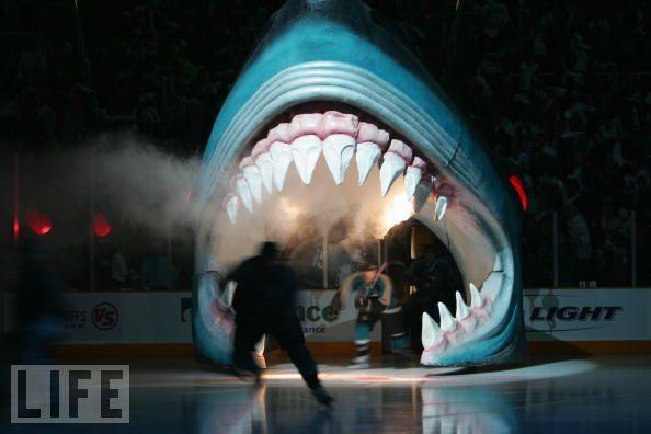 Šī ir viena no kluba... Autors: koni4jo NHL San Jose Sharks