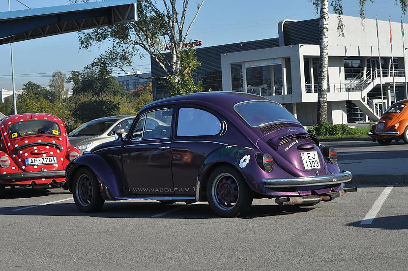  Autors: tpaipalsfoto VW Beetle