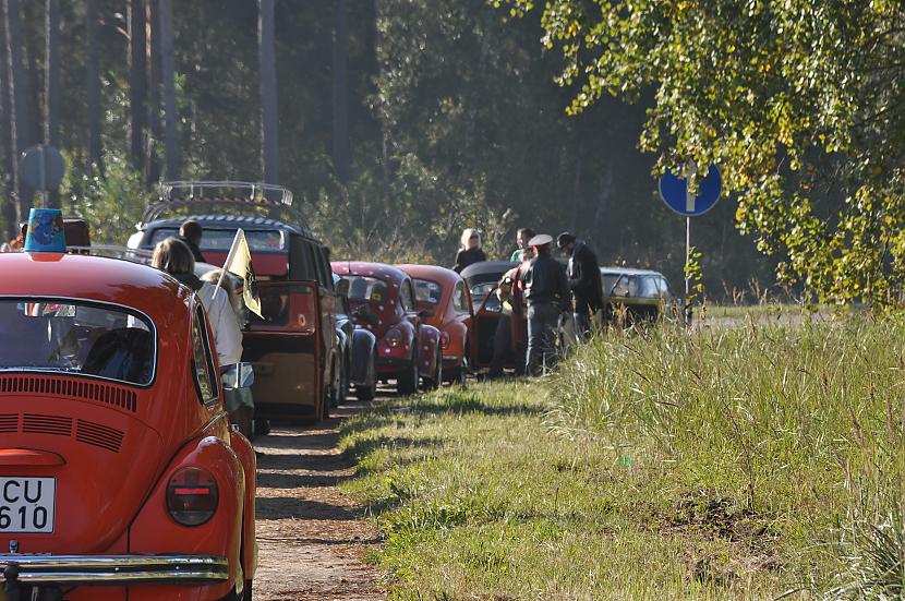  Autors: tpaipalsfoto VW Beetle