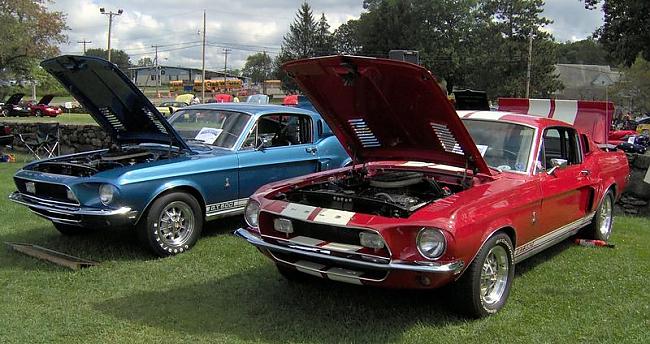  Autors: FuRiOuSe Ford Mustang Shelby Cobra 1967