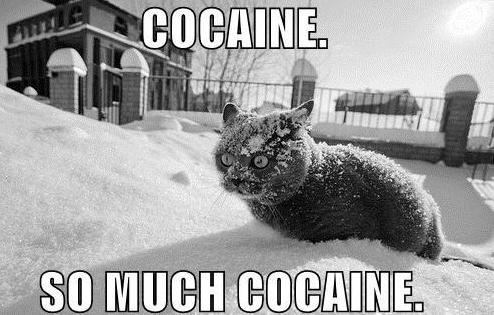  Autors: Fosilija Cocaine cats