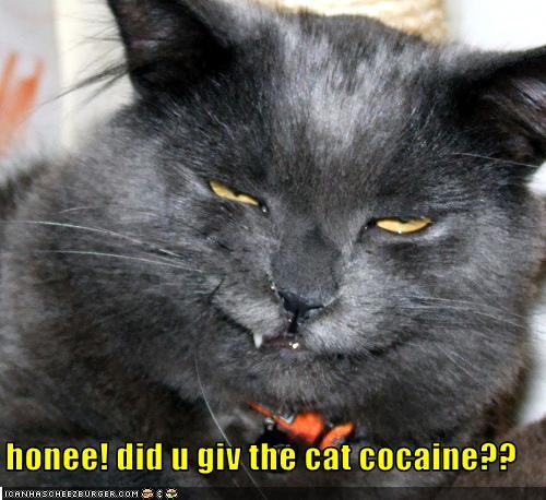  Autors: Fosilija Cocaine cats