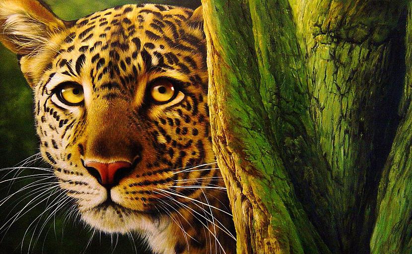 Christiane Vleugels  Leopard Autors: Fosilija Neticami reālas gleznas!