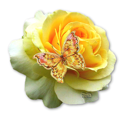 https://img4.spoki.lv/upload/articles/28/287467/images/Valentindiena-Bildes-21.gif