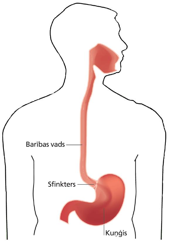 1 Ir vajadzīgas 7 sekundes lai... Autors: maciska 5 interesanti fakti