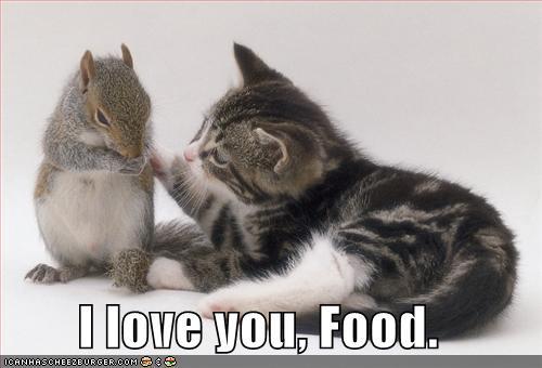  Autors: karameljukafija Funny Cats