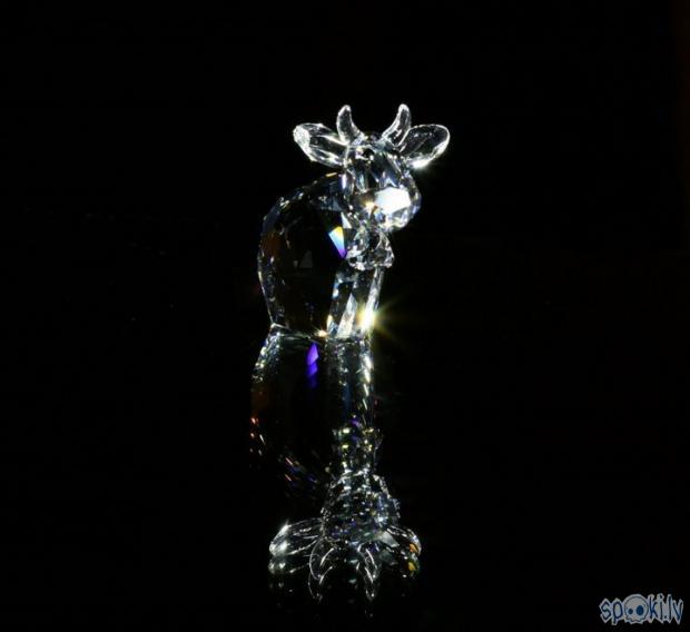  Autors: MargeSimpson Swarovski