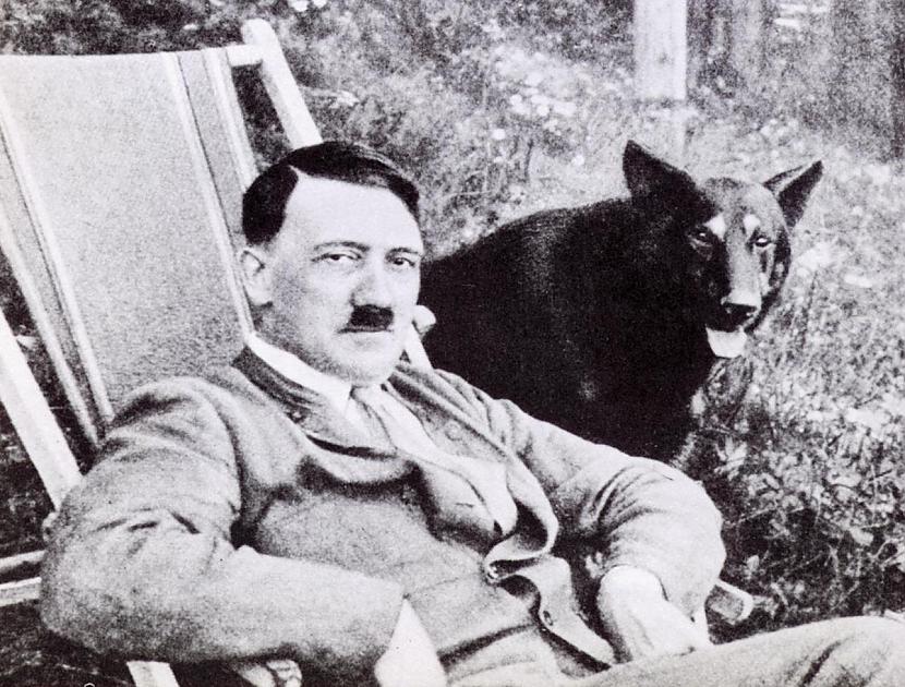 Politikas apguve 1918  1919No... Autors: zirdziniece Adolfs Hitlers 1dala