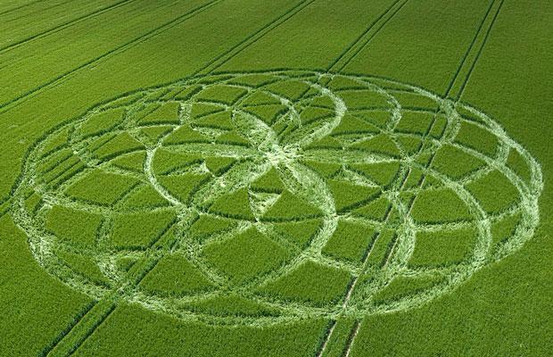 Vai labības apļi ir tikai... Autors: LeeMairo Labības veldrējumi