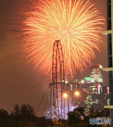  Autors: Kadets Singapūras panorāmas rats "Flyer"