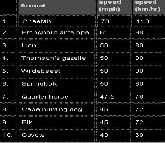 Top 10 dzivnieki un... Autors: Logger Top 10 ātrākie dzivnieki (kas skrien)