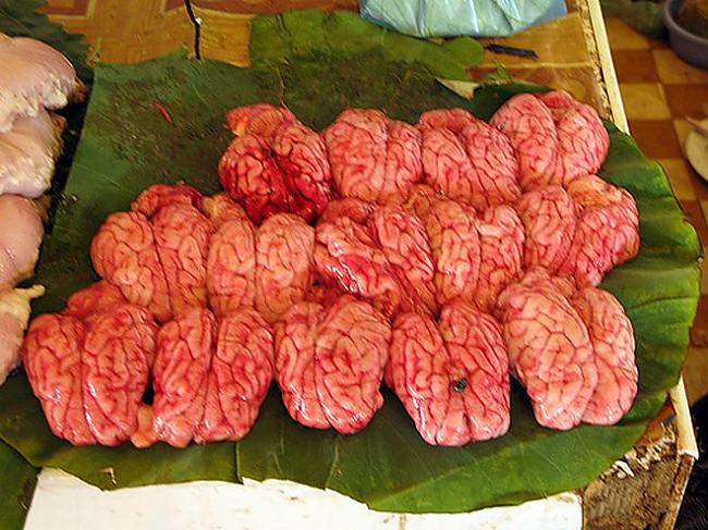 Mērkaķu smadzenes Šī ķīniešu... Autors: ralphon 5 nāvīgākie ēdieni