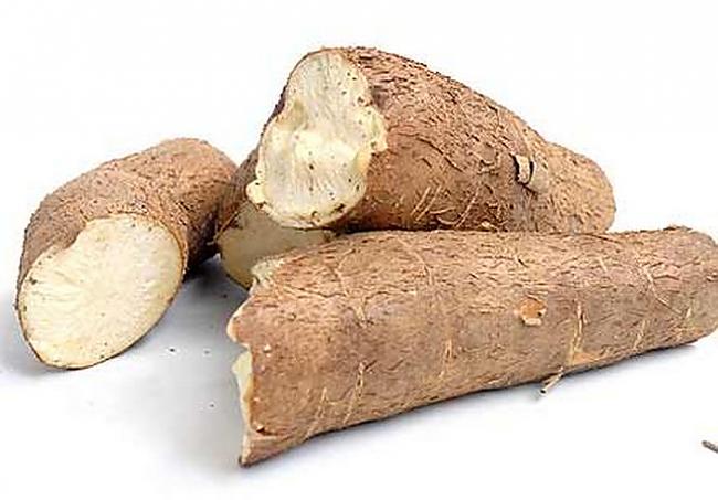 Cassava ir kokains krūms No tā... Autors: ralphon 5 nāvīgākie ēdieni