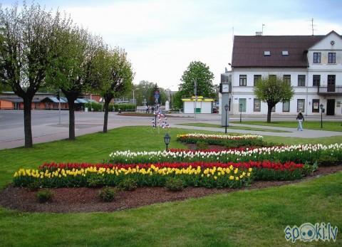  Autors: SKŪPSTIŅŠ SALDUS - medus piliens Kurzemē