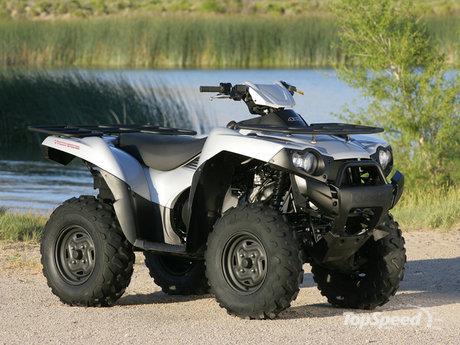 3 Autors: heartbeat Kawasaki Brute Force 650cc