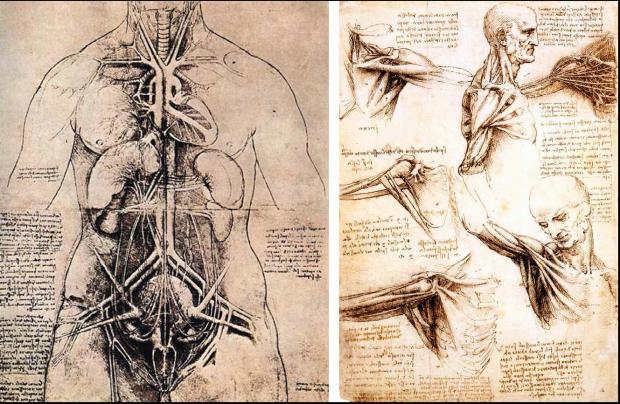  Autors: Miss Veiksme Leonardo Da Vinci...izpratne par cilvēka anatomisko uzbūvi