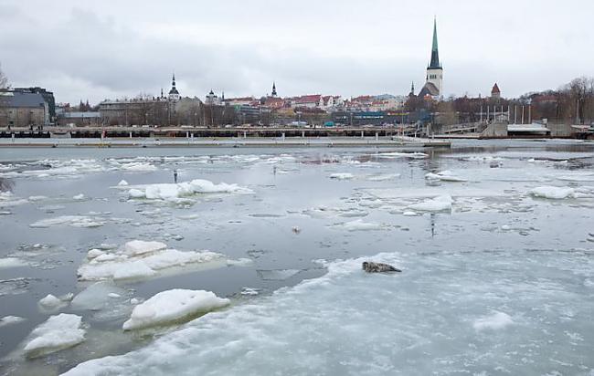  Autors: karalis100 Pilsētas roņa rīts.
