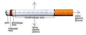 Cilvēks kas izpīpē cigarešu... Autors: xprusaks Interesanti fakti