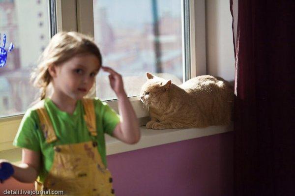Liels mīlīgs kaķis šajā... Autors: Ļusajs Kā tiek veidotas reklāmas