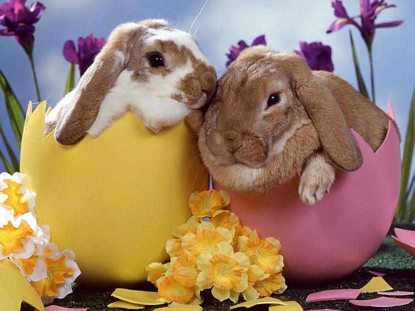 Lieldienās lai saule sildaOlas... Autors: Jessica Rabbit Priecīgas Lieldienas! :)