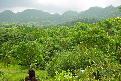  Autors: Tribal Jamaica!