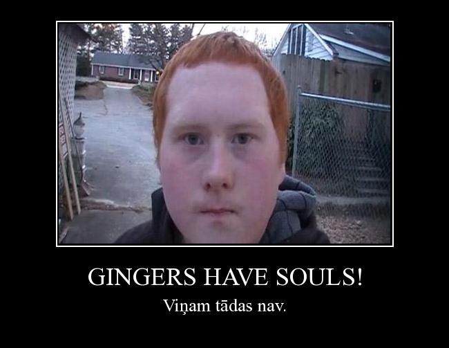  Autors: Deal With It Gingers have souls!